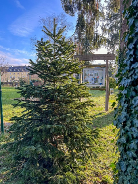 37265897-cf53-42c3-b01c-2070d9379326